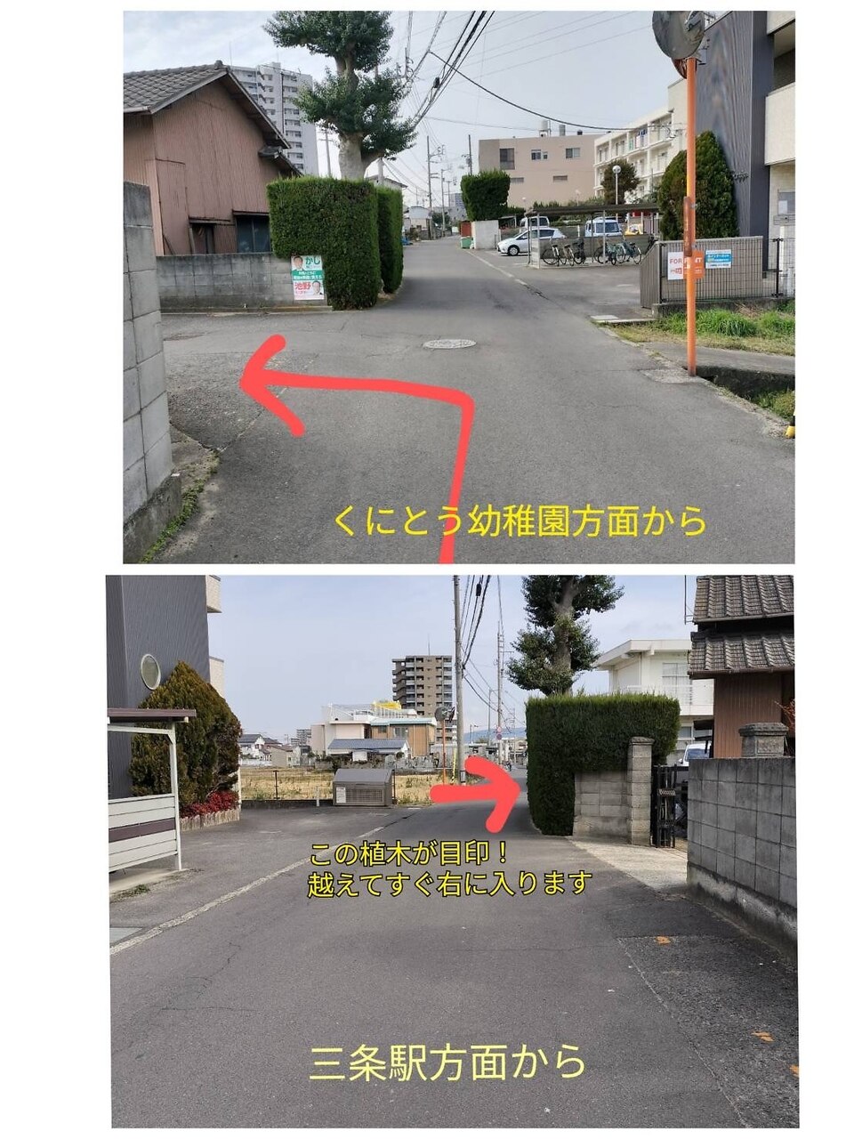 After Tea：施術後のなつめ茶・サンザドリンクでリラックス